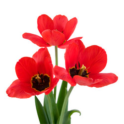 Similar image 702491