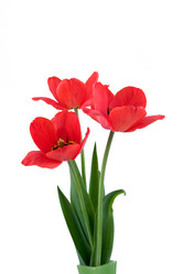 Similar image 702492