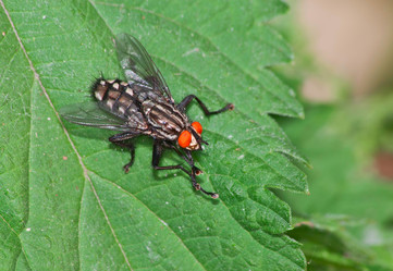 Similar image 702530