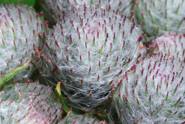 Similar image 702544