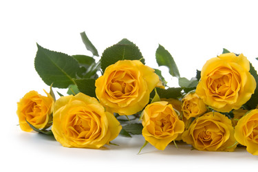 Similar image 702546