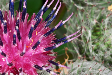 Similar image 702553