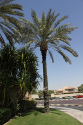 Similar image 702556