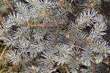 Similar image 702580