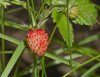 Similar image 702587