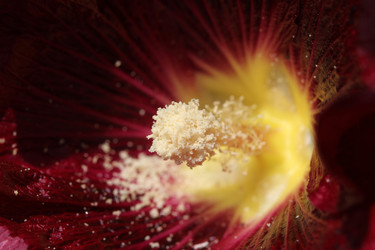 Similar image 702596