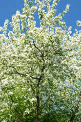 Similar image 702616