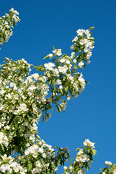 Similar image 702617