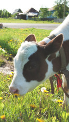 Similar image 702645