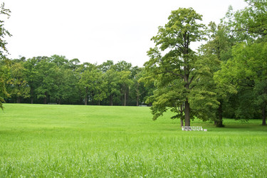 Similar image 702647