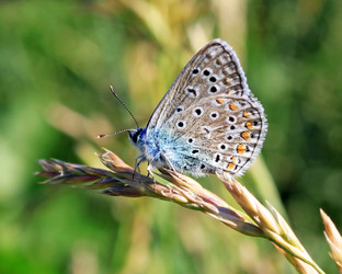 Similar image 702648