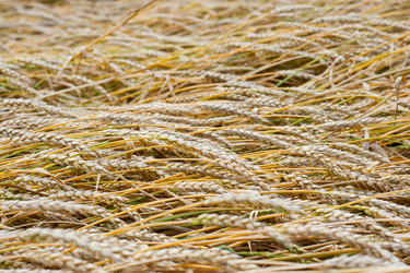 Similar image 702657