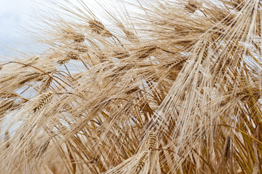 Similar image 702663