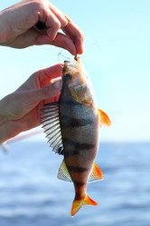 Similar image 702689