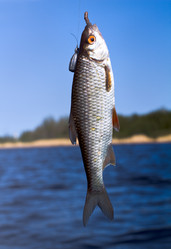 Similar image 702690