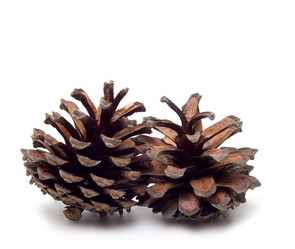 Similar image 702693