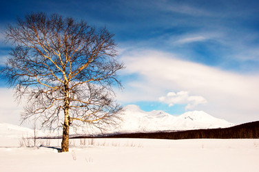 Similar image 702716