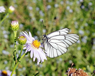 Similar image 702724