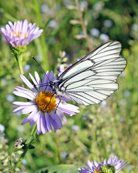 Similar image 702728