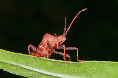 Similar image 702743