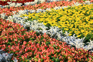 Similar image 702778