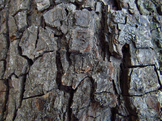 Similar image 702779