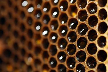 Similar image 702832