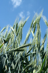 Similar image 702837