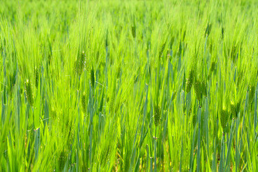 Similar image 702838