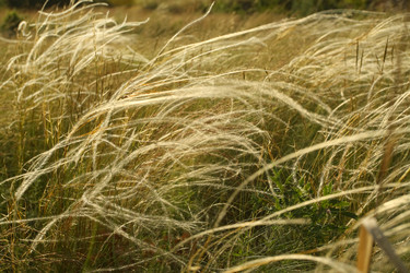 Similar image 702839