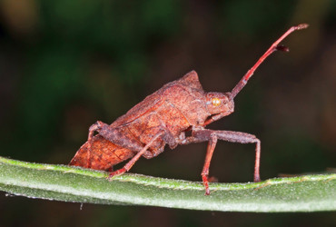 Similar image 702841