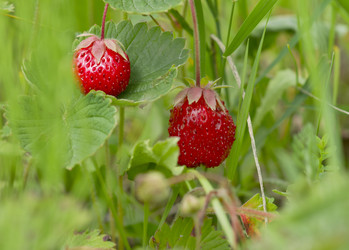 Similar image 702842