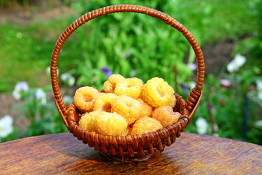 Similar image 702844