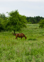 Similar image 702853