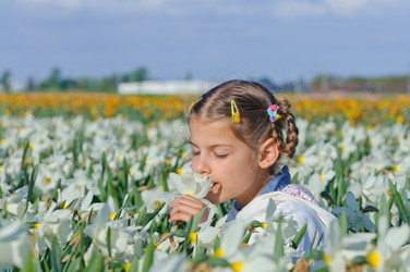 Similar image 702930