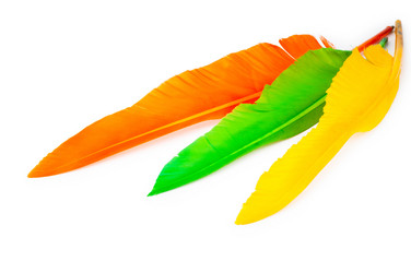 Similar image 703006