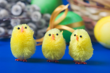 Similar image 703108