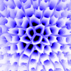 Similar image 703412