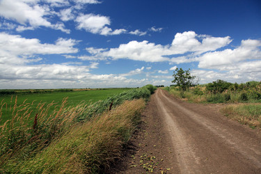 Similar image 703440