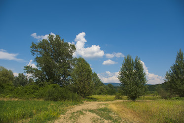 Similar image 703995