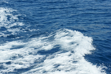 Similar image 703998