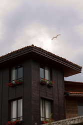 Similar image 704022