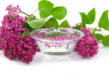 Similar image 704026