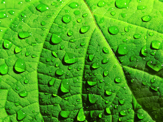 Similar image 704091