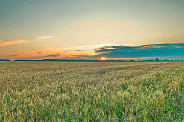 Similar image 704119