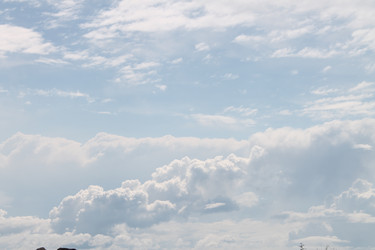 Similar image 704123