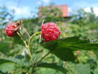 Similar image 704346