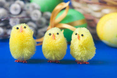 Similar image 704442