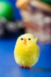 Similar image 704443