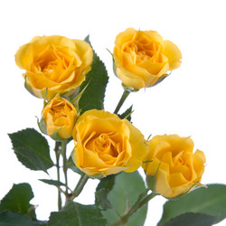 Similar image 704444